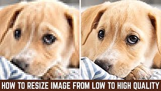 Berikut adalah cara memotong gambar dan mengganti background di photoshop CS3.. 
